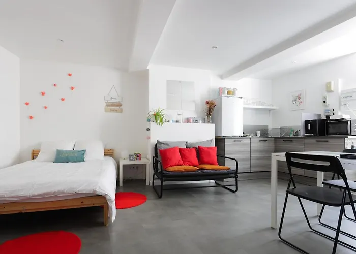 Charmant Studio, Au Coeur De La Ville De Riom